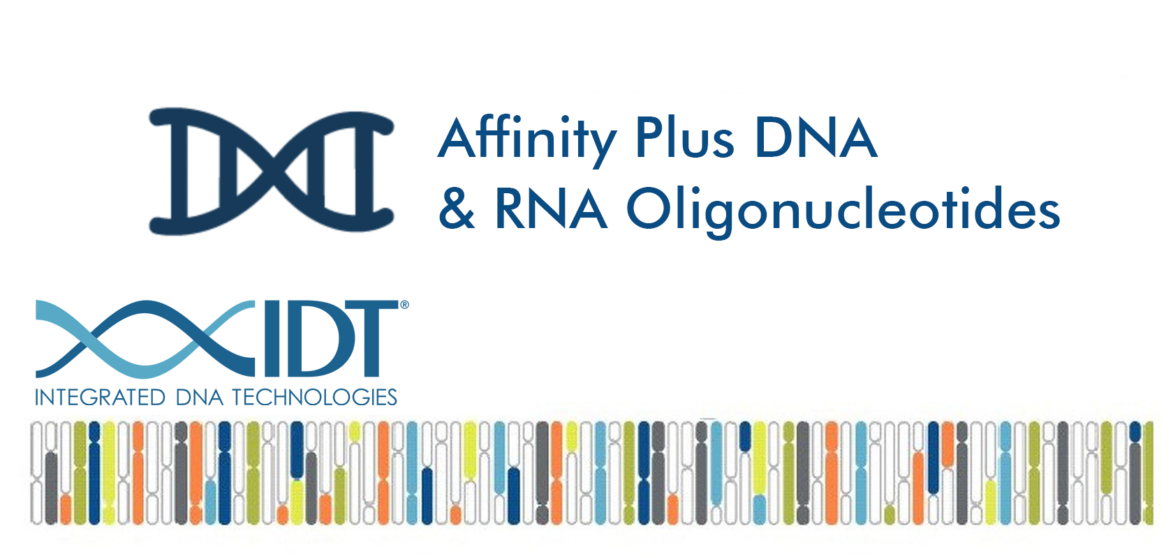 Affinity Plus DNA 