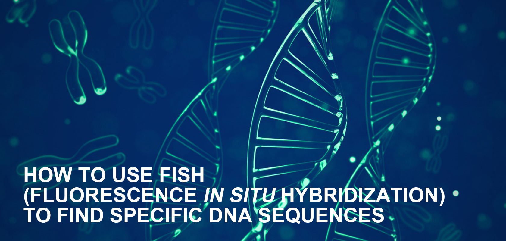 HOW TO USE FISH (FLUORESCENCE IN SITU HYBRIDIZATION) TO FIND SPECIFIC DNA SEQUENCES