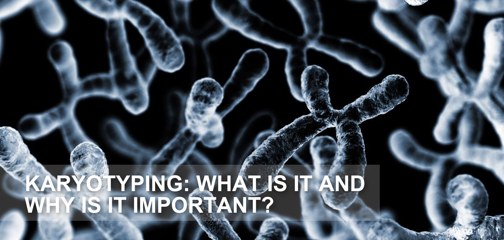 KARYOTYPING: WHAT IS IT AND WHY IS IT IMPORTANT?