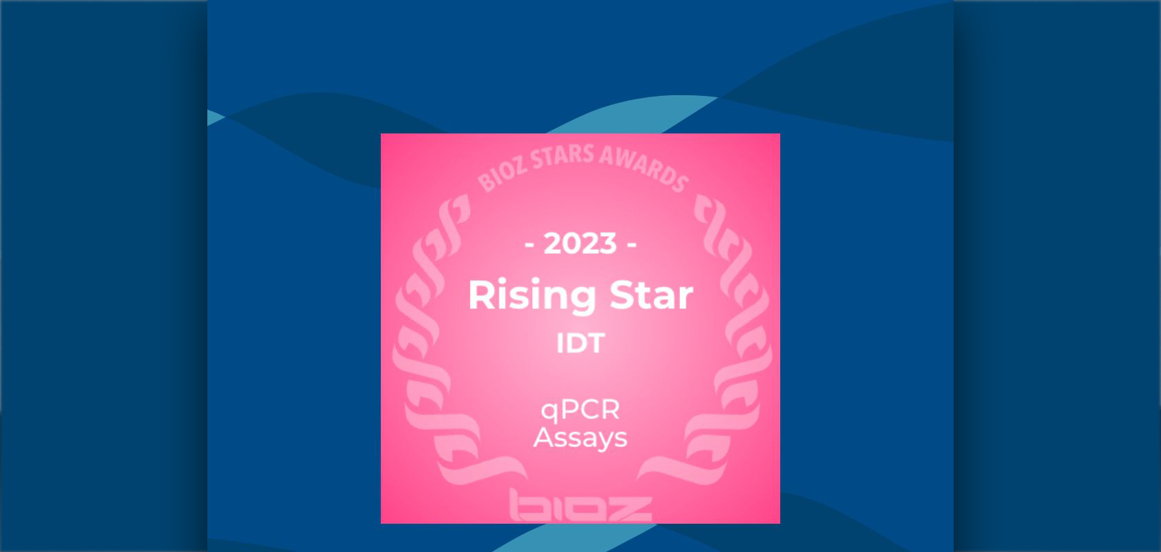 2023 Rising Star