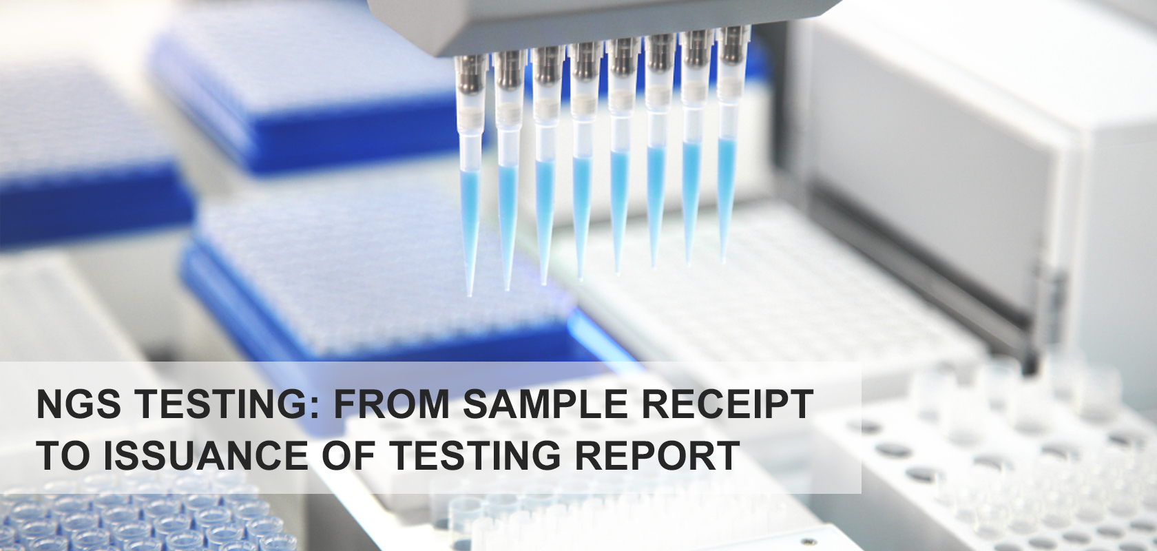 NGS Testing: From Sample Receipt to Issuance of Testing Report