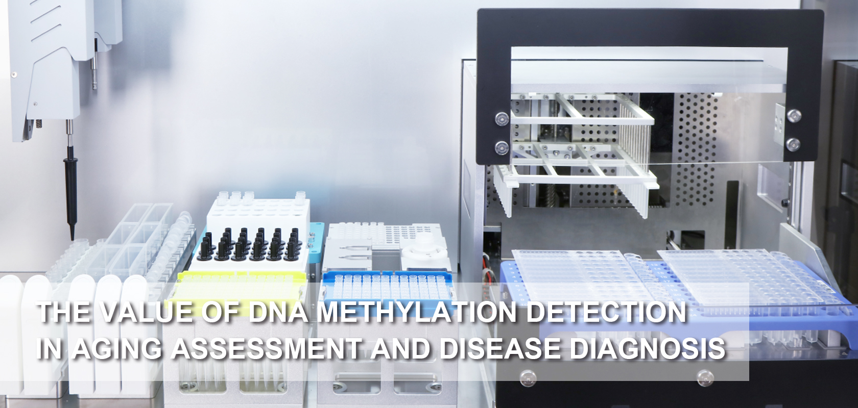 The Value of DNA Methylation Detection in Aging Assessment and Disease Diagnosis