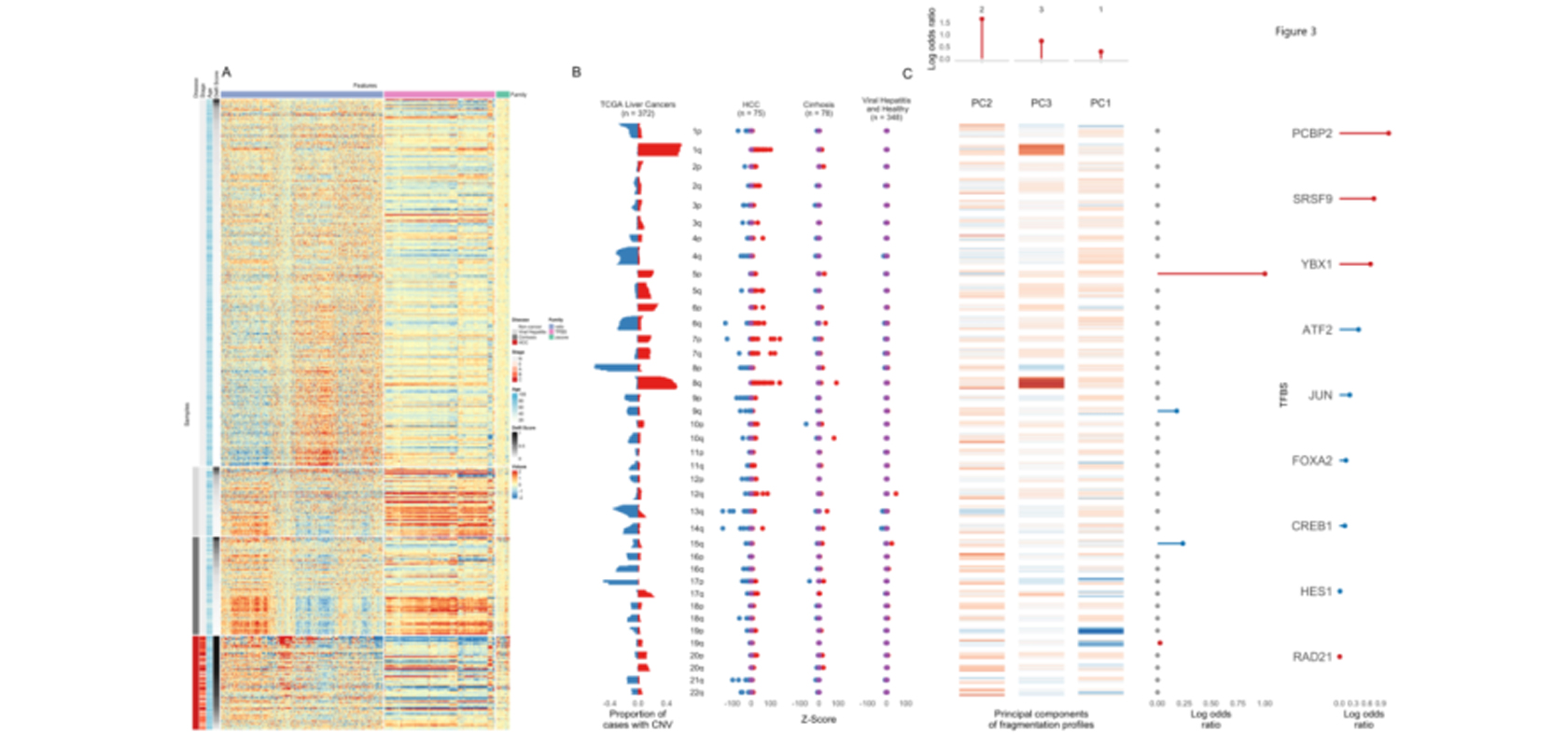 Whole Genome cfDNA Fragmentation Feature Detection Method DELFI for Liver Cancer