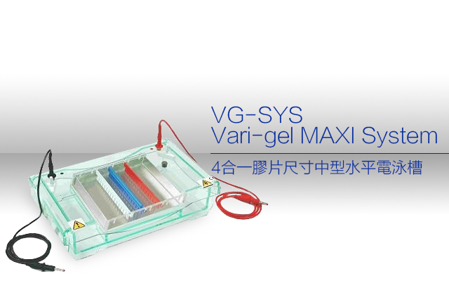 VG-SYS 4合一膠片尺寸中型水平電泳槽 / VG-SYS Vari-gel MAXI System 