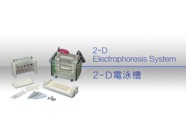 2D電泳槽 / 2-D Electrophoresis System 
