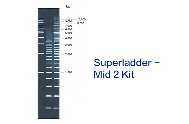 Superladder - Mid 2 Kit