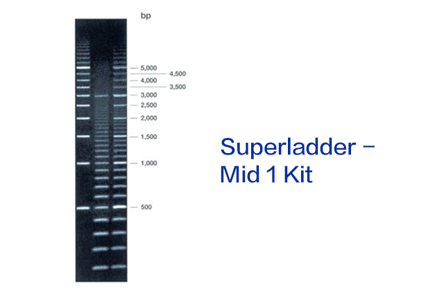 Superladder - Mid 1 Kit