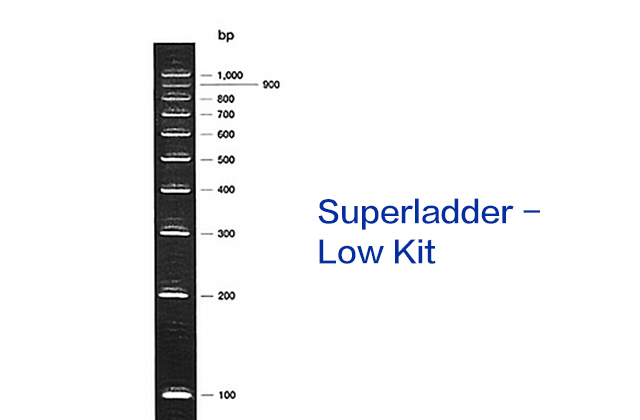 Superladder - Low Kit