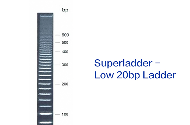 Superladder - Low 20bp Ladder