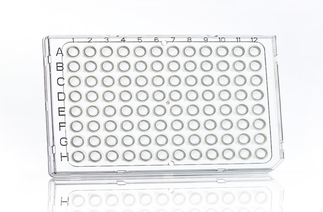 FrameStar®96孔半襯邊PCR反應盤(適用Roche)