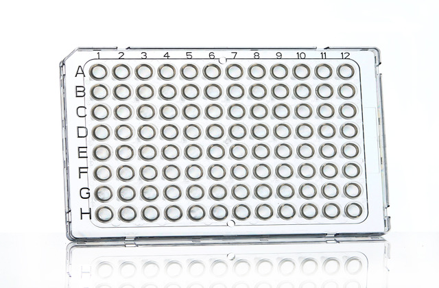 FrameStar® 96孔半襯邊PCR反應盤(適用ABI快速PCR機型)