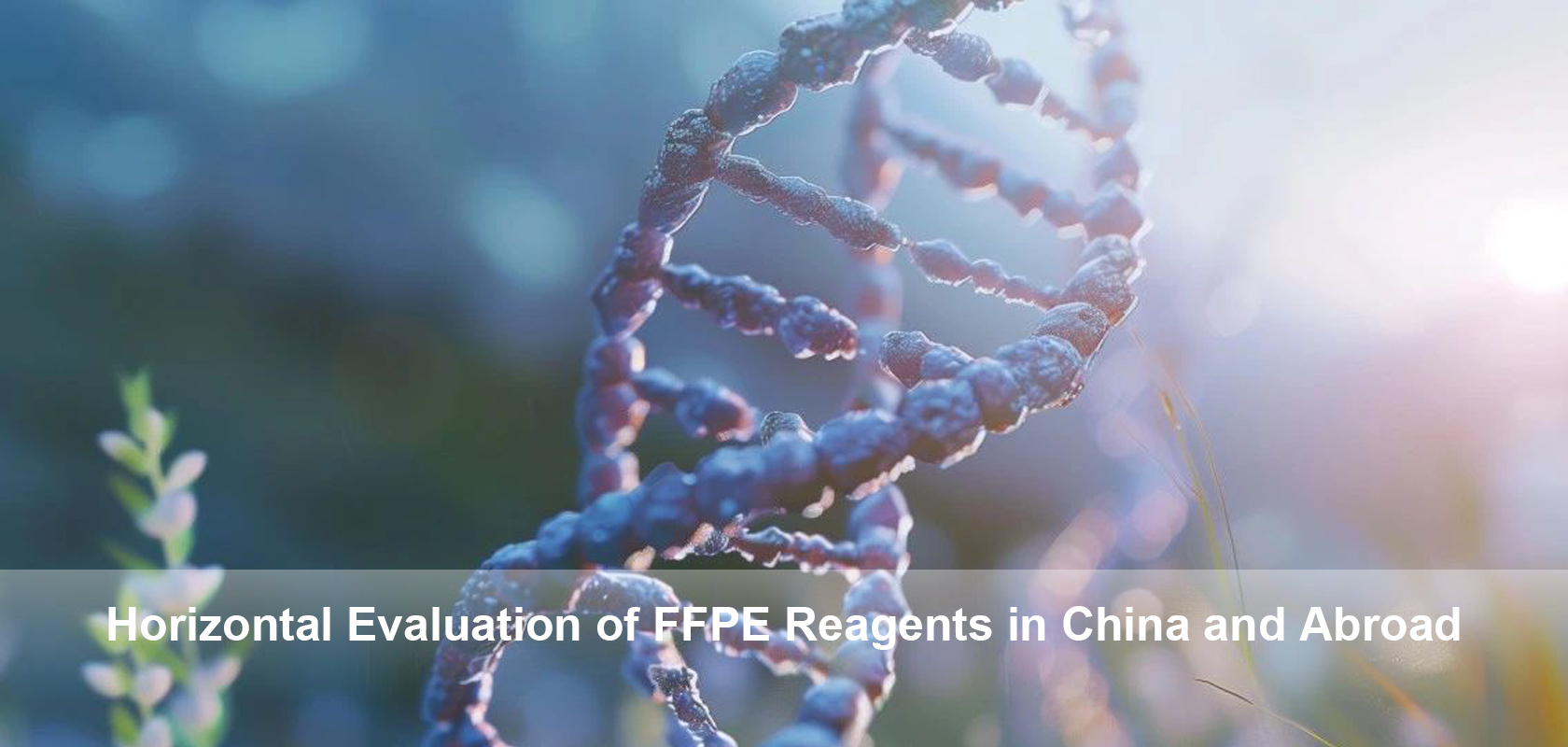 Horizontal Evaluation of FFPE Reagents in China and Abroad